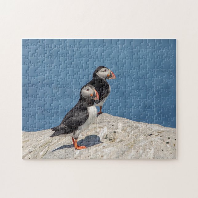 Atlantic Puffin in Machias, Maine Puzzle (Horizontal)