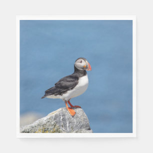 Atlantic Puffin in Machias, Maine Serviette