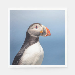 Atlantic Puffin in Machias, Maine Serviette