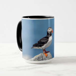 Atlantic Puffin in Machias, Maine Tasse