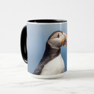 Atlantic Puffin in Machias, Maine Tasse