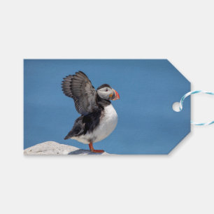 Atlantic Puffin in Machias, ME Geschenkanhänger