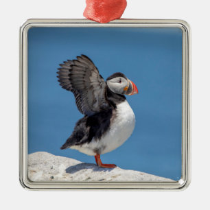 Atlantic Puffin in Machias, ME Ornament Aus Metall