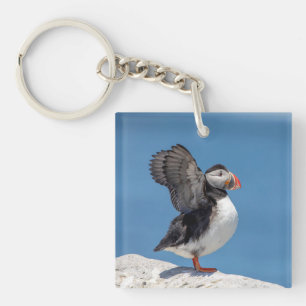 Atlantic Puffin in Machias, ME Schlüsselanhänger