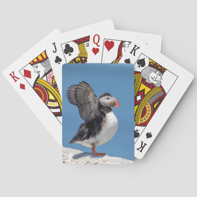 Atlantic Puffin in Machias, ME Spielkarten (Rückseite)