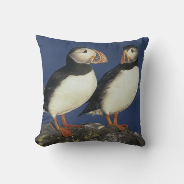 Atlantic Puffin Kissen (Vorderseite)