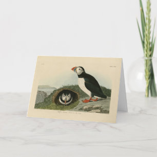 Atlantic Puffin von Audubons Vögeln von Amerika Karte