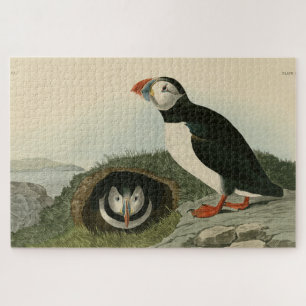 Atlantic Puffin von Audubons Vögeln von Amerika Puzzle