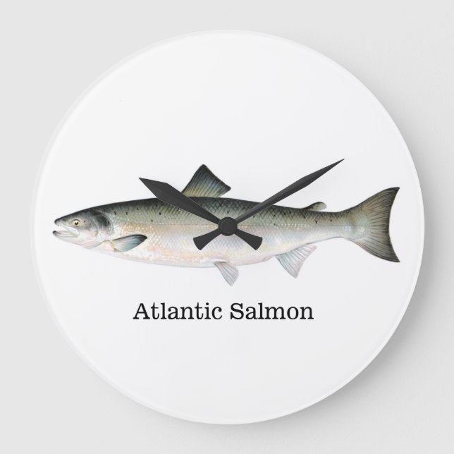 Atlantic Salmon Fish Große Wanduhr (Vorderseite)