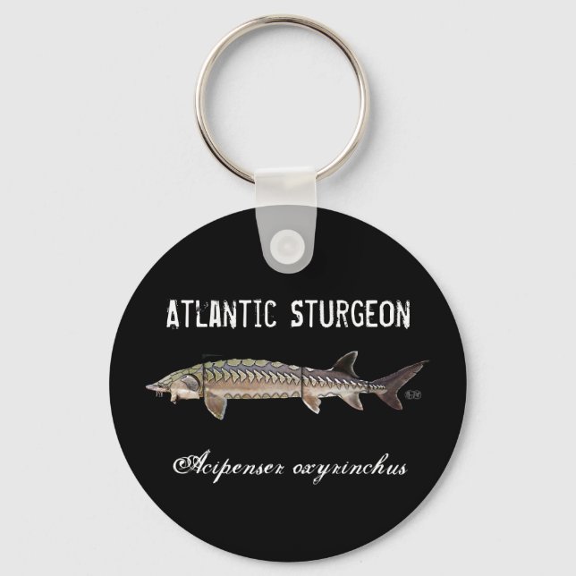 Atlantic Sturgeon Title Schlüsselanhänger - Scute  (Vorderseite)