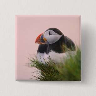 Atlantik-Puffin (Fatercula arctica) 6 Button