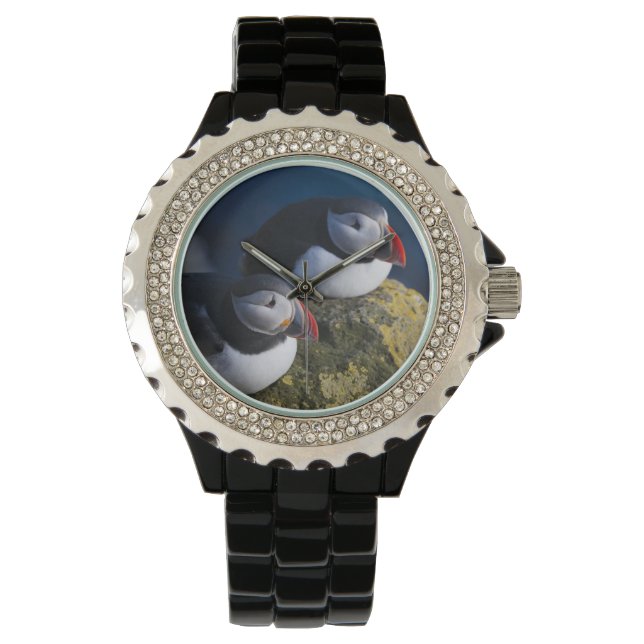 Atlantik-Puffin (Fratercula arctica) 7 Armbanduhr (Vorderseite)
