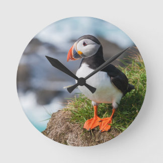 Atlantik Puffin Runde Wanduhr