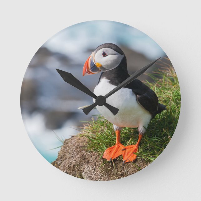 Atlantik Puffin Runde Wanduhr (Vorderseite)