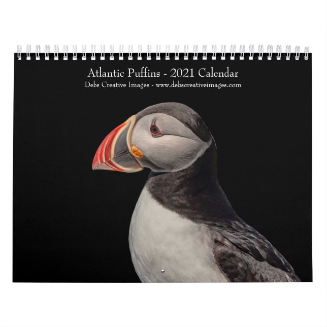 Atlantik-Puffins-Kalender 2021 Kalender (Titelbild)