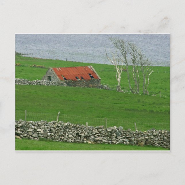 Atlantische Küstenweide, Irland Postkarte (Vorderseite)