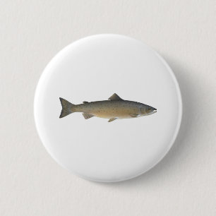 Atlantische Lachse Button