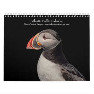 Atlantische Papageientaucher 2026 Kalender