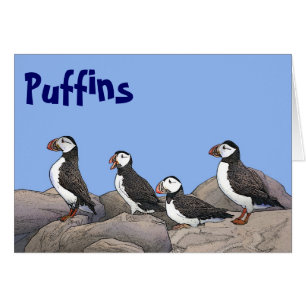 Atlantische Puffen