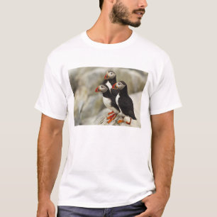 Atlantische Puffen auf der Insel Machias Siegel T-Shirt