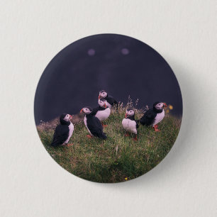 Atlantische Puffen Button