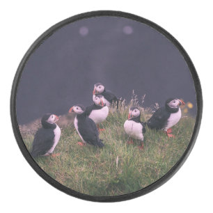 Atlantische Puffen Eishockey Puck