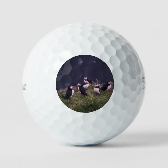 Atlantische Puffen Golfball (Vorderseite)