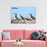 Atlantische Puffen