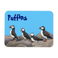 Atlantische Puffen