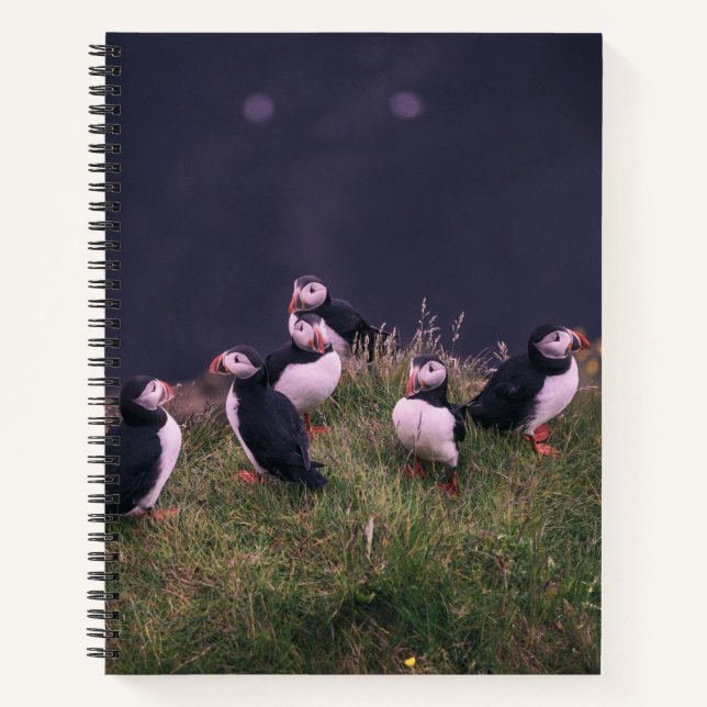 Atlantische Puffen Notizbuch (Vorderseite)