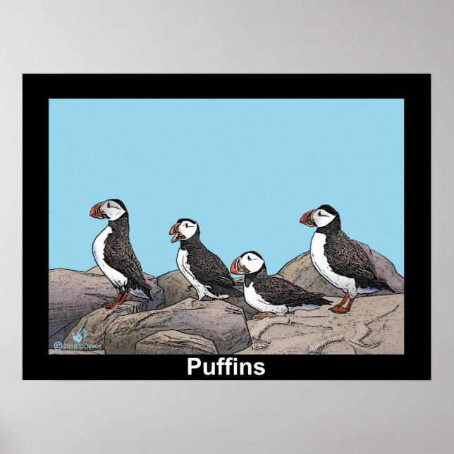 Atlantische Puffen Poster (Vorne)