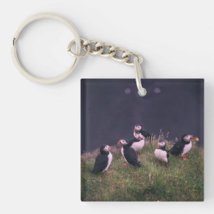 Atlantische Puffen Schlüsselanhänger