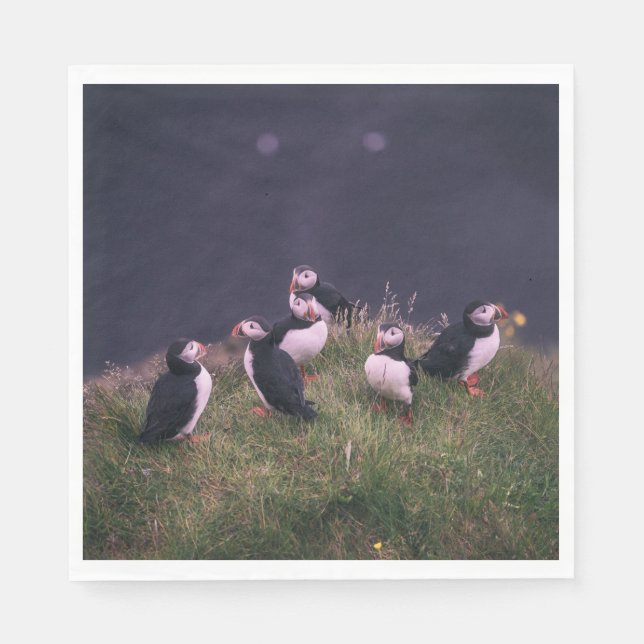 Atlantische Puffen Serviette (Vorderseite)