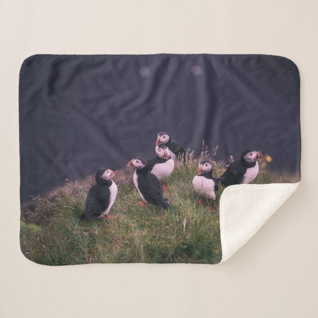 Atlantische Puffen Sherpadecke (Vorderseite (Horizontal))