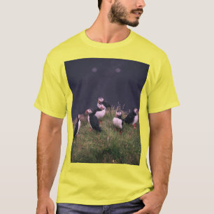 Atlantische Puffen T-Shirt