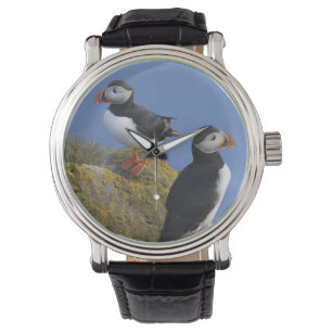 Atlantische Puffins (Fatercula arctica) auf dem Fe Armbanduhr
