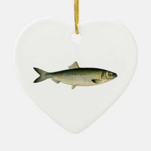 Atlantische Seeheringe Keramikornament