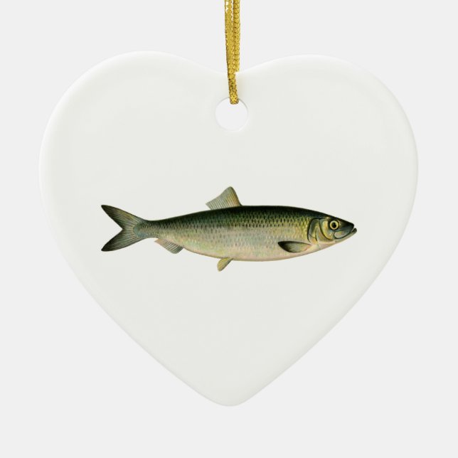 Atlantische Seeheringe Keramikornament (Vorne)