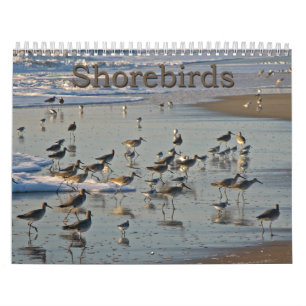 Atlantische Shorebirds Kalender