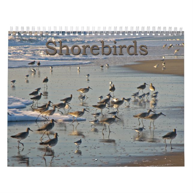 Atlantische Shorebirds Kalender (Titelbild)