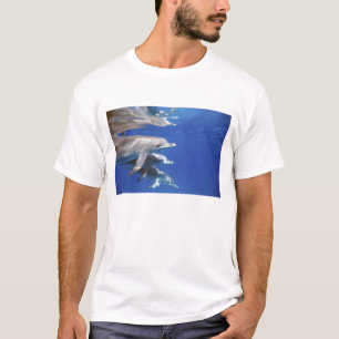 Atlantische Tüpfeldelfine. Bimini, Bahamas T-Shirt