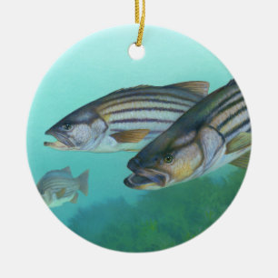 Atlantischer Bassfisch Morone Saxatilis Keramikornament