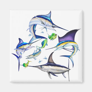 Atlantischer Billfisch Magnet