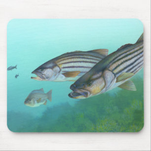 Atlantischer gestreifter Bass-FischeMorone Mousepad