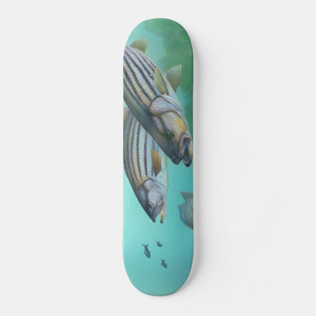 Atlantischer gestreifter Bass-FischeMorone Skateboard (Vorderseite)