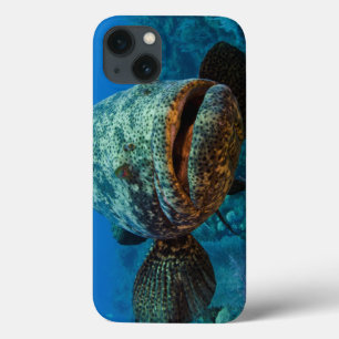 Atlantischer Goliath-Barsch Case-Mate iPhone Hülle