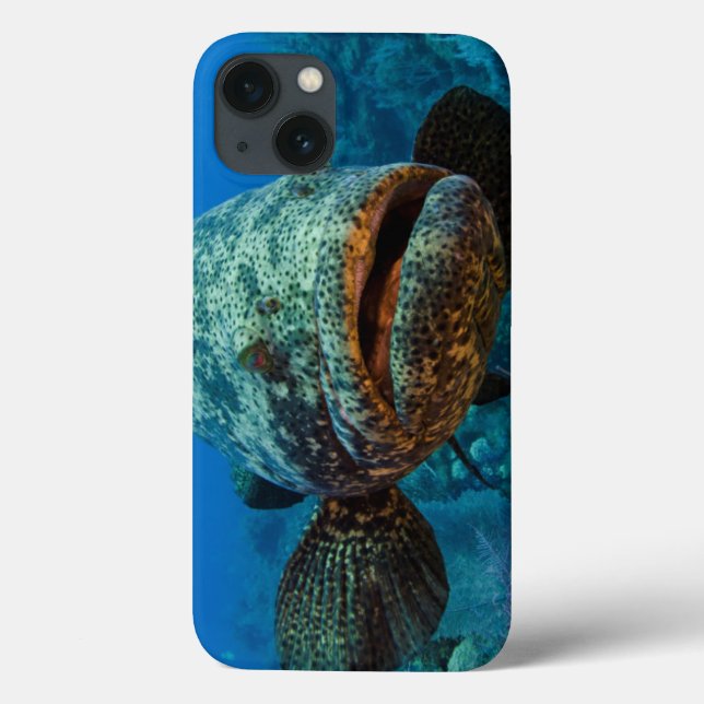 Atlantischer Goliath-Barsch Case-Mate iPhone Hülle (Rückseite)