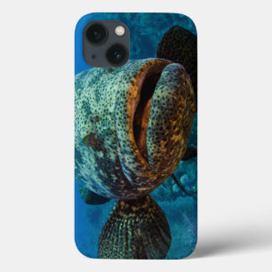 Atlantischer Goliath-Barsch Case-Mate iPhone Hülle