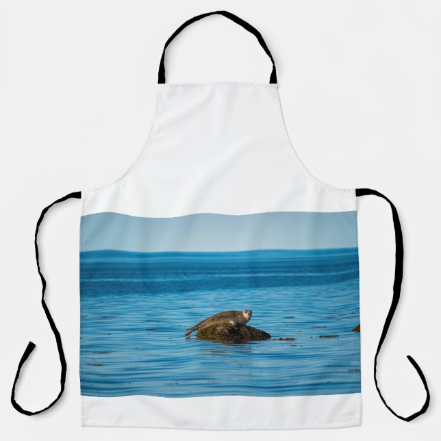 Atlantischer Hafenrobbe Schürze (Vorderseite)