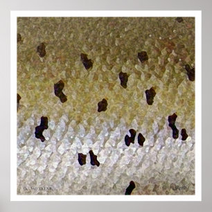 Atlantischer Lachs Poster